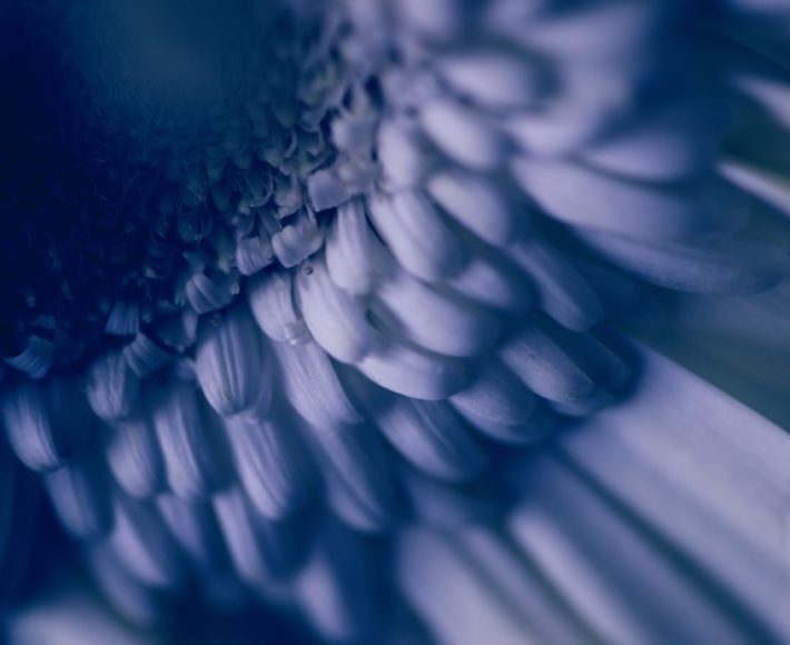 https://www.dilucaeserra.it/wp-content/uploads/2020/08/dylan-nolte-d0ZFjfvd6YA-unsplash-scaled-710x580.jpg